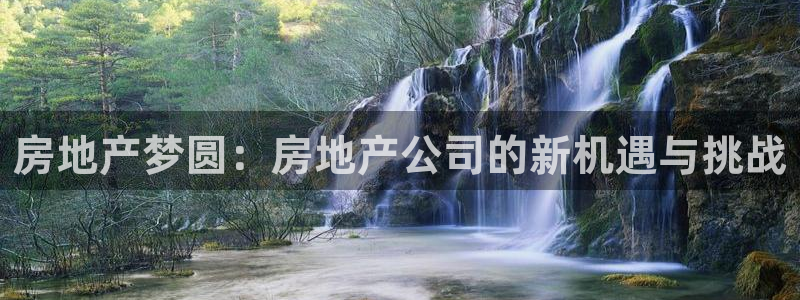 天狮娱乐道：房地产梦圆：房地产公司的新机遇与挑战