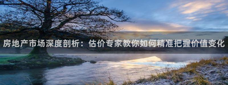 天狮娱乐手机挂机：房地产市场深度剖析：估价专家教你如何精准把