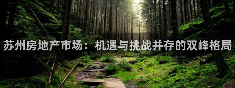 天狮娱乐方：苏州房地产市场：机遇与挑战并存的双峰格局