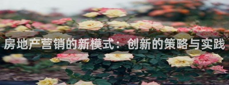 天狮娱乐主管：房地产营销的新模式：创新的策略与实践