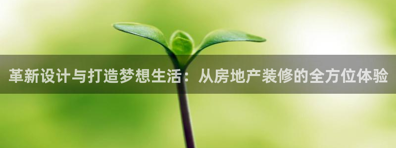 天狮天狮娱乐娱乐q：革新设计与打造梦想生活：从房地产装修的全