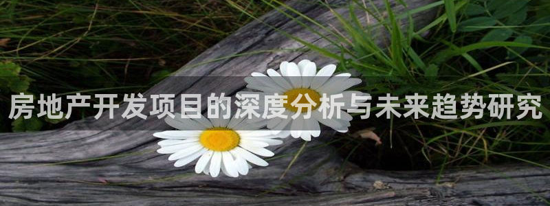 天狮娱乐60447股东：房地产开发项目的深度分析与未来趋势研