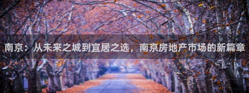 天狮娱乐b 判官是谁：南京：从未来之城到宜居之选，南京房地产