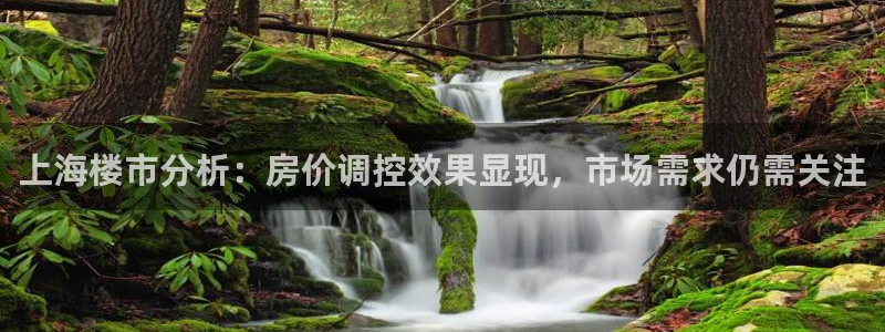 天狮娱乐走势图：上海楼市分析：房价调控效果显现，市场需求仍需
