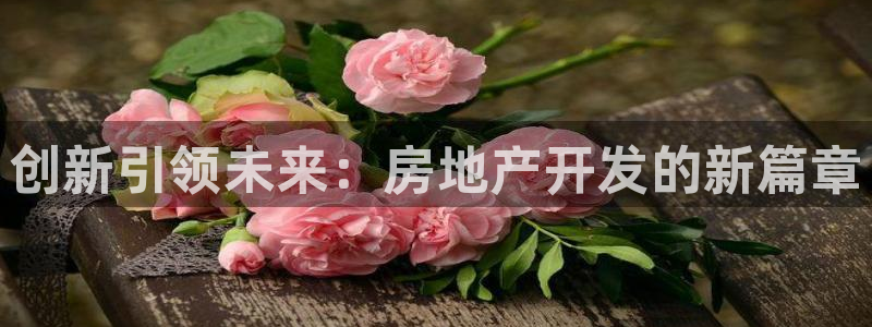天狮娱乐 官方注册主管：创新引领未来：房地产开发的新篇章