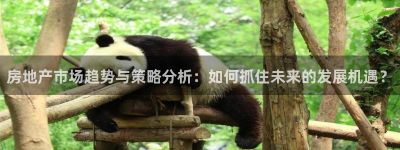 天狮娱乐可靠吗：房地产市场趋势与策略分析：如何抓住未来的发展