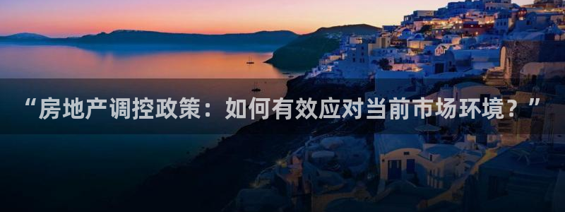 天狮娱乐扣72226：“房地产调控政策：如何有效应对当前市场