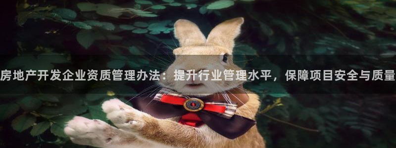 天狮源娱乐平台注册：房地产开发企业资质管理办法：提升行业管理