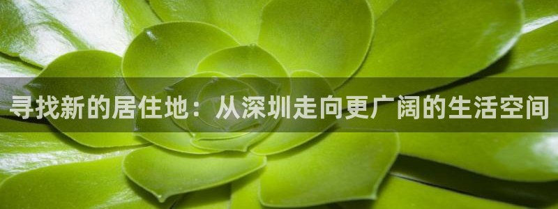 天狮娱乐股东主管：寻找新的居住地：从深圳走向更广阔的生活空间