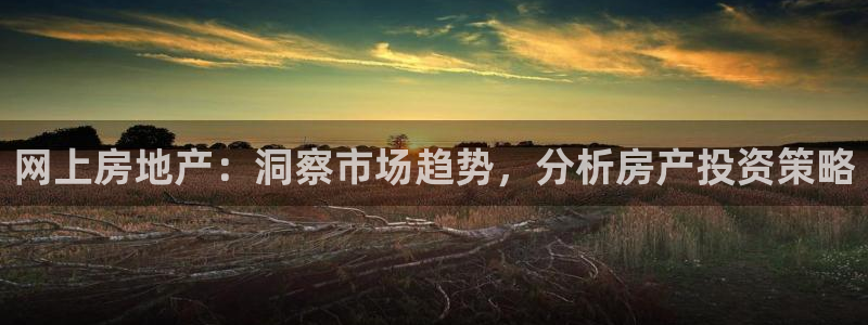 天狮娱乐登录网址：网上房地产：洞察市场趋势，分析房产投资策略
