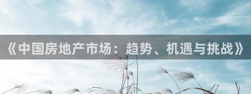 天狮娱乐招商主管