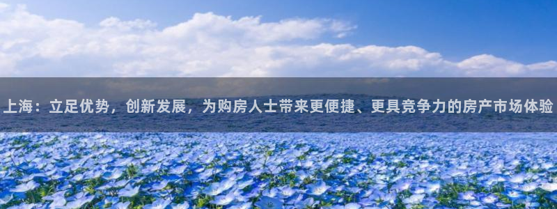 天狮娱乐 b运营67646：上海：立足优势，创新发展，为购房