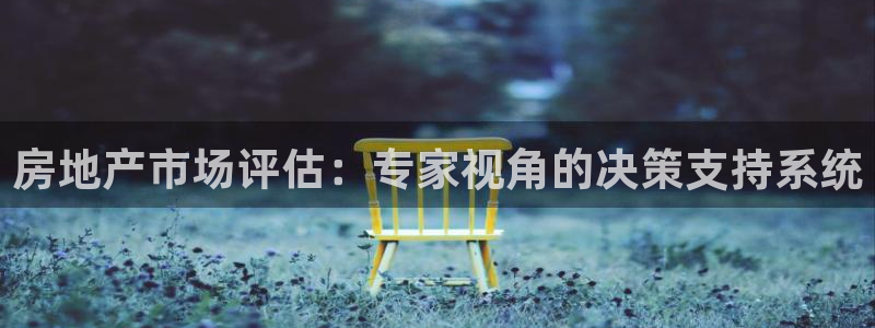 娱乐狮天：房地产市场评估：专家视角的决策支持系统